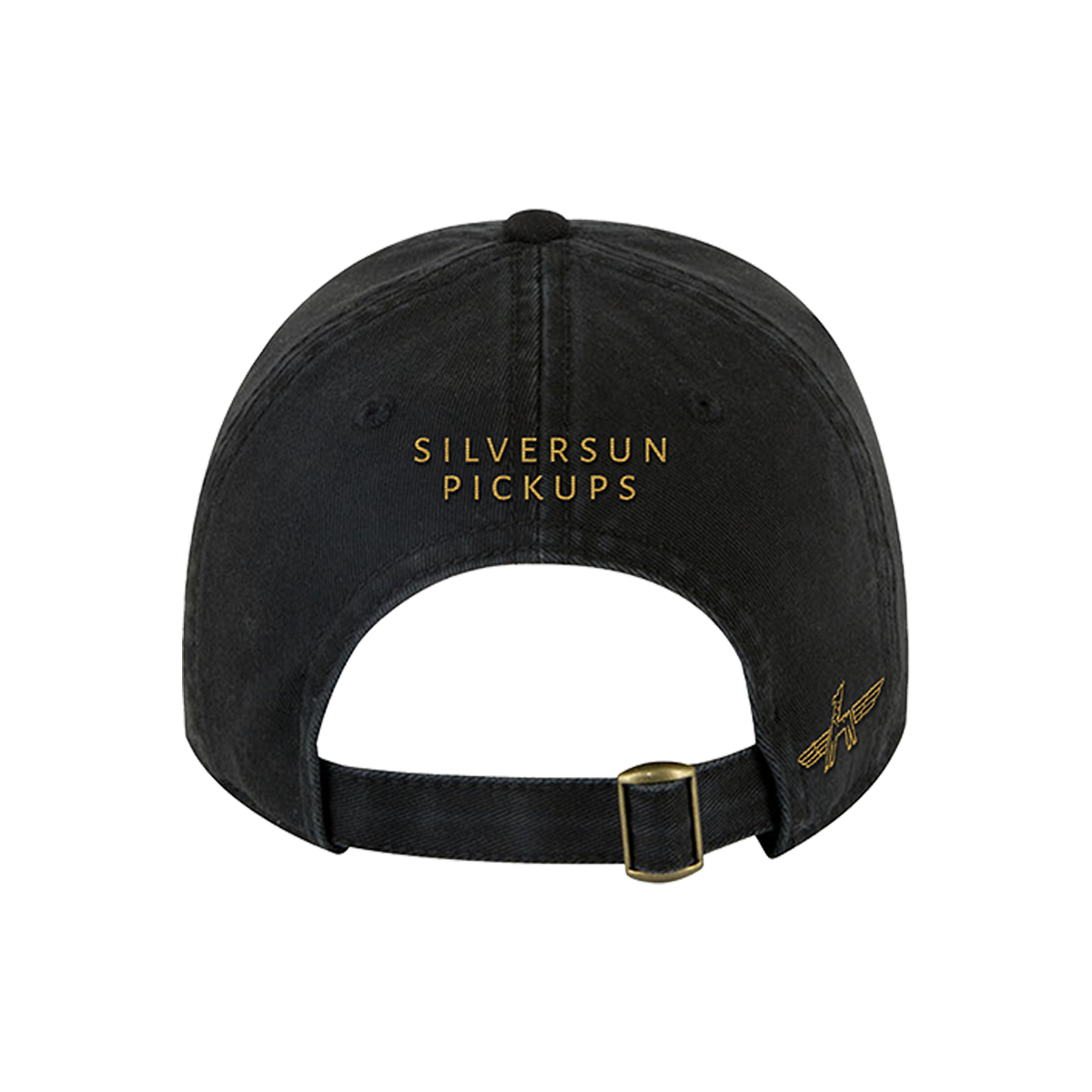 Silversun Pickups 2026 Tour Dad Hat back